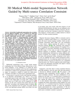 3D Medical Multi-modal Segmentation Network Guided by Multi-source
  Correlation Constraint