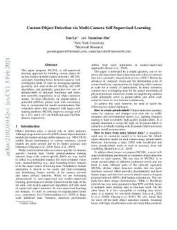 Custom Object Detection via Multi-Camera Self-Supervised Learning