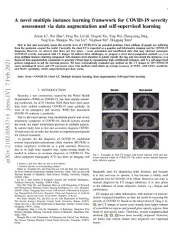 A novel multiple instance learning framework for COVID-19 severity
  assessment via data augmentation and self-supervised learning