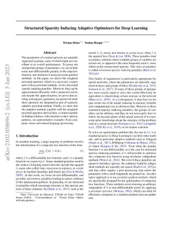 Structured Sparsity Inducing Adaptive Optimizers for Deep Learning