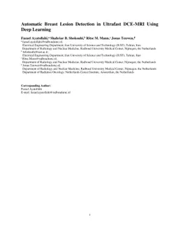 Automatic Breast Lesion Detection in Ultrafast DCE-MRI Using Deep
  Learning