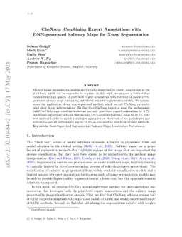 CheXseg: Combining Expert Annotations with DNN-generated Saliency Maps
  for X-ray Segmentation
