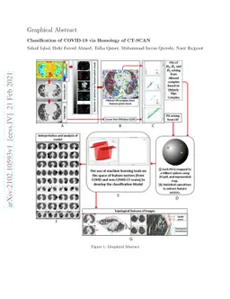 Classification of COVID-19 via Homology of CT-SCAN