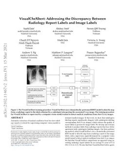 VisualCheXbert: Addressing the Discrepancy Between Radiology Report
  Labels and Image Labels