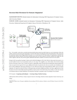 Decision Rule Elicitation for Domain Adaptation
