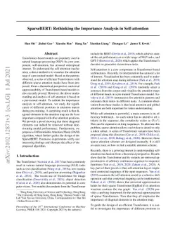 SparseBERT: Rethinking the Importance Analysis in Self-attention
