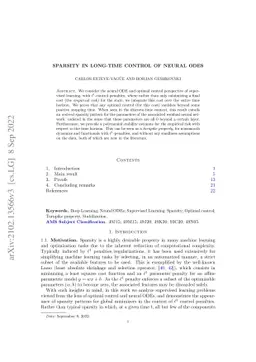 Sparsity in long-time control of neural ODEs