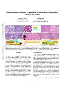 Multiple Instance Captioning: Learning Representations from
  Histopathology Textbooks and Articles