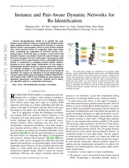 Instance and Pair-Aware Dynamic Networks for Re-Identification