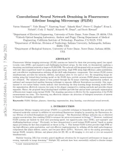 Convolutional Neural Network Denoising in Fluorescence Lifetime Imaging
  Microscopy (FLIM)
