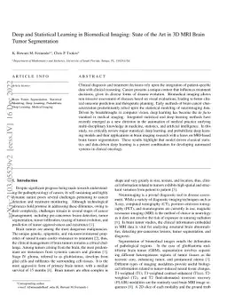 Deep and Statistical Learning in Biomedical Imaging: State of the Art in
  3D MRI Brain Tumor Segmentation