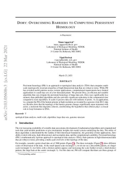 Dory: Overcoming Barriers to Computing Persistent Homology