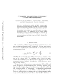 Symmetry Breaking in Symmetric Tensor Decomposition