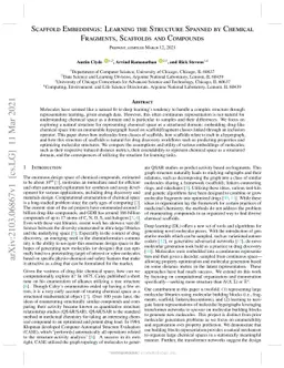 Scaffold Embeddings: Learning the Structure Spanned by Chemical
  Fragments, Scaffolds and Compounds