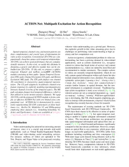 ACTION-Net: Multipath Excitation for Action Recognition