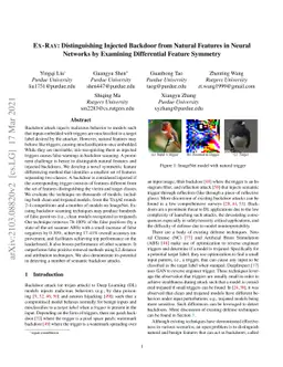 EX-RAY: Distinguishing Injected Backdoor from Natural Features in Neural
  Networks by Examining Differential Feature Symmetry
