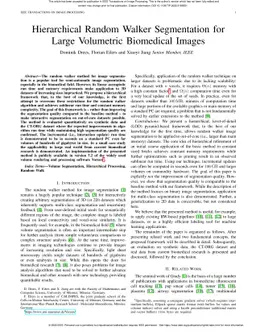 Hierarchical Random Walker Segmentation for Large Volumetric Biomedical
  Images