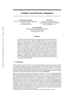 Scalable Causal Domain Adaptation