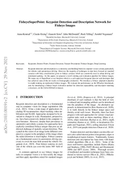 FisheyeSuperPoint: Keypoint Detection and Description Network for
  Fisheye Images