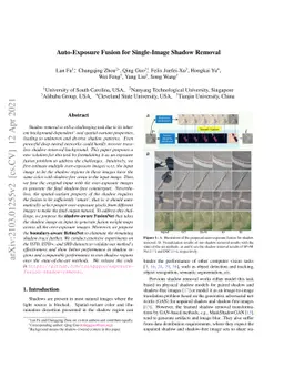 Auto-Exposure Fusion for Single-Image Shadow Removal