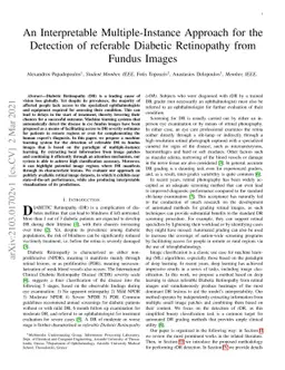 An Interpretable Multiple-Instance Approach for the Detection of
  referable Diabetic Retinopathy from Fundus Images