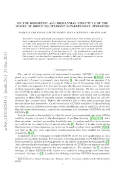 On the geometric and Riemannian structure of the spaces of group
  equivariant non-expansive operators