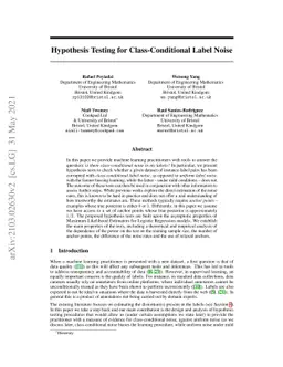 Hypothesis Testing for Class-Conditional Label Noise