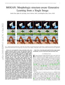 MOGAN: Morphologic-structure-aware Generative Learning from a Single
  Image