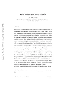 Vicinal and categorical domain adaptation