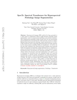 SpecTr: Spectral Transformer for Hyperspectral Pathology Image
  Segmentation