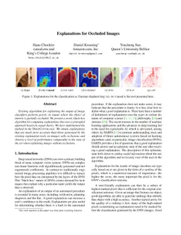 Explanations for Occluded Images