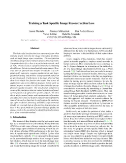 Training a Task-Specific Image Reconstruction Loss