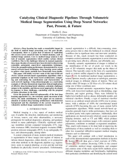 Catalyzing Clinical Diagnostic Pipelines Through Volumetric Medical
  Image Segmentation Using Deep Neural Networks: Past, Present, & Future