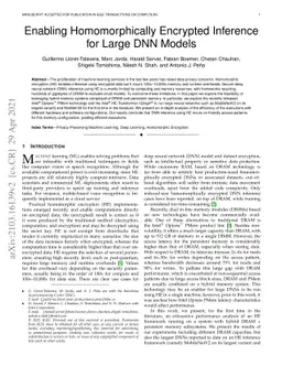 Enabling Homomorphically Encrypted Inference for Large DNN Models