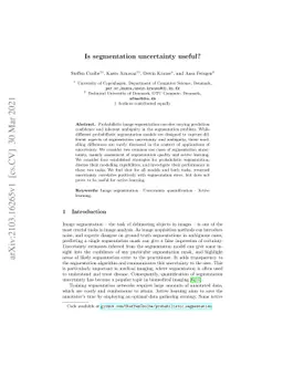 Is segmentation uncertainty useful?