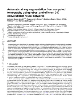 Automatic airway segmentation from Computed Tomography using robust and
  efficient 3-D convolutional neural networks