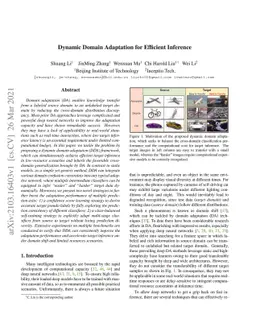 Dynamic Domain Adaptation for Efficient Inference