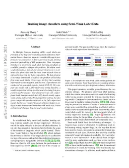 Training image classifiers using Semi-Weak Label Data