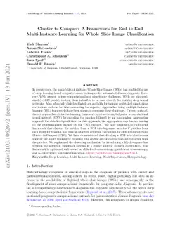 Cluster-to-Conquer: A Framework for End-to-End Multi-Instance Learning
  for Whole Slide Image Classification