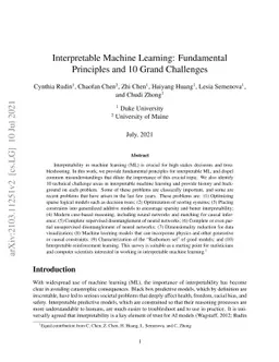 Interpretable Machine Learning: Fundamental Principles and 10 Grand
  Challenges