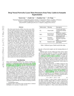 Deep Neural Networks Learn Meta-Structures from Noisy Labels in Semantic
  Segmentation