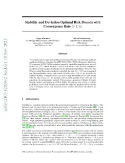 Stability and Deviation Optimal Risk Bounds with Convergence Rate
  $O(1/n)$