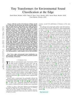 Tiny Transformers for Environmental Sound Classification at the Edge
