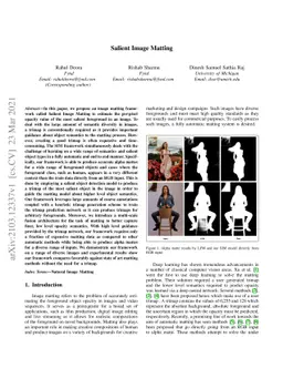 Salient Image Matting