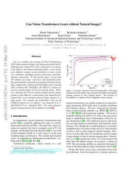 Can Vision Transformers Learn without Natural Images?
