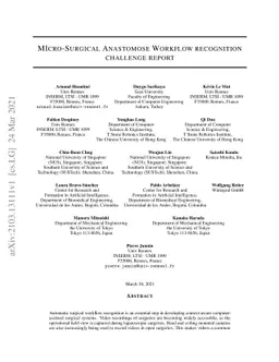 MIcro-Surgical Anastomose Workflow recognition challenge report