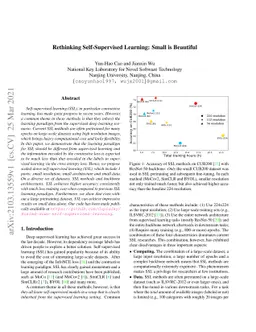 Rethinking Self-Supervised Learning: Small is Beautiful