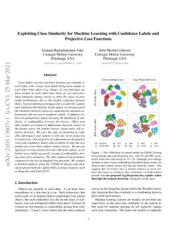 Exploiting Class Similarity for Machine Learning with Confidence Labels
  and Projective Loss Functions