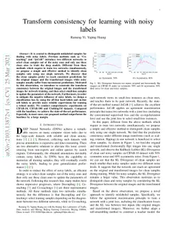 Transform consistency for learning with noisy labels
