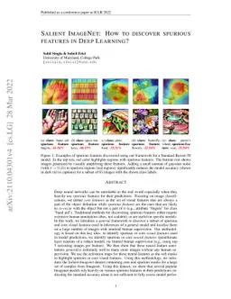 Salient ImageNet: How to discover spurious features in Deep Learning?